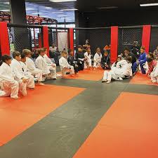 Image result for Pyramid martial arts