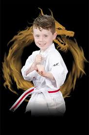 Image result for Kidderminster Tae Kwon Do Tigers