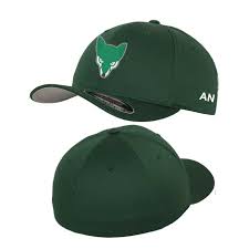 Image result for Woolpit Cricket Club