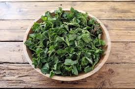 Attēlu rezultāti vaicājumam “Urtica dioica fruit”