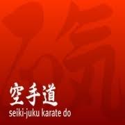 Image result for Seiki Juku Karate Club