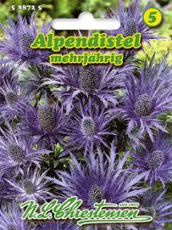 Image result for Alpendistel