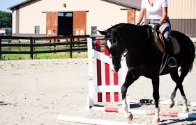 Image result for Cliff Hatch Stables