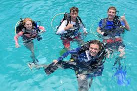 Image result for Seabug Divers