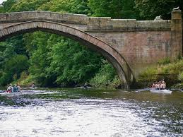 Image result for Lambton Rowing Club