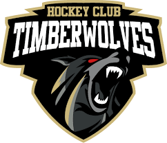 Image result for Cwmbran Hockey Club