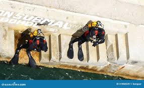 Image result for TAL Divers