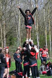 Image result for Cardiff Cobras