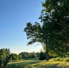 Image result for The Craythorne Golf Club