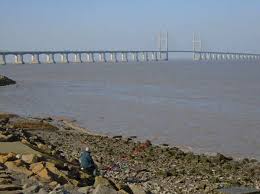 Image result for Burton Badminton Club