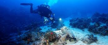 Image result for Southampton University Sub-Aqua Club