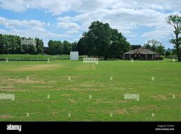 Image result for Newenden Cricket Club
