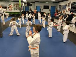 Image result for IXL Martial Arts