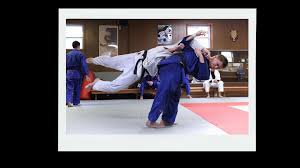Image result for Redcar Judo Club, Cleveland