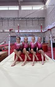 Image result for Allstarz Gymnastics Club