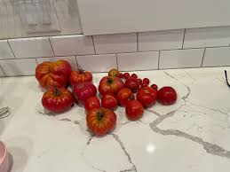 Afbeeldingsresultaat voor hawaiian white cherry tomato