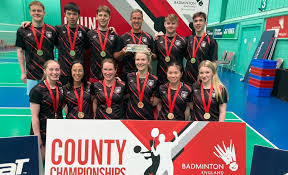 Image result for Dalton (Yorkshire) Badminton Club