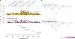 Dual-trait genomic analysis in highly stratified Arabidopsis ...