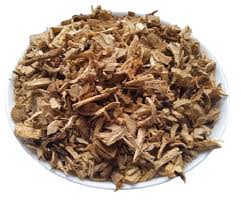 Attēlu rezultāti vaicājumam “Rosa majalis fruit”