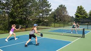 Image result for Holly Lane Badminton Club