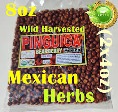 Attēlu rezultāti vaicājumam “Arctostaphylos uva-ursi fruit”