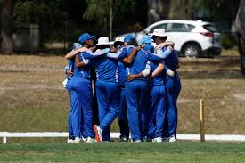 Image result for Ivanhoe Cricket Club