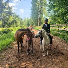 Image result for The Riding Centre