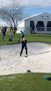 Image result for Cheam Girls Gc