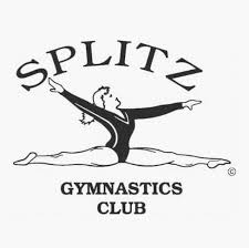 Image result for Splitz Gc
