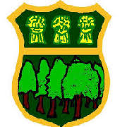 Image result for Paignton Cc