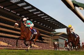 Image result for Almond Riding Club