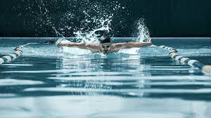 Image result for 1066 Swimmers