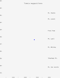 Attēlu rezultāti vaicājumam “Timmia megapolitana”