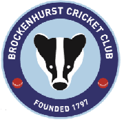 Image result for Redlynch and Hale Cricket Club