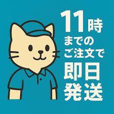 「ライディース・F・ブランシュタイン スーパーロボット大戦OG ディバイン・ウォーズ」の画像検索結果