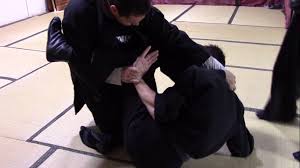 Image result for Bujinkan Crawley Dojo