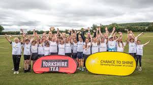 Image result for Abbots Bromley Cricket Club