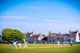 Image result for Portland Red Triangle Cricket Club
