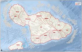 「VHAPUNI　MAO」の画像検索結果