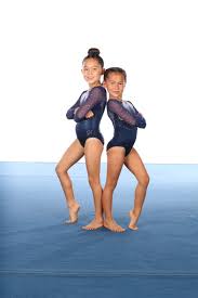 Image result for The Academy Of Gymnastics Portishead