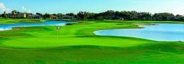 Image result for Fox Gc