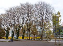 Image result for ninetree hill bristol