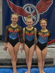 Image result for Phoenix Gymnastics