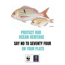 Image result for Polysteganus undulosus