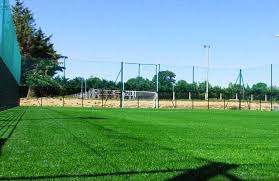 Image result for Sean Treacy`s Hurling Club
