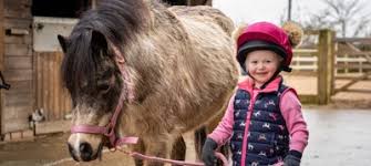 Image result for Elstead Riding Club