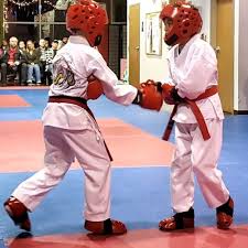 Image result for Worthington Martial Arts Institute