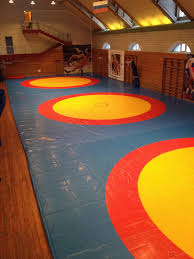 Image result for British Sombo Federation