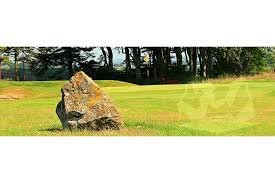 Image result for Oldmeldrum Golf Club