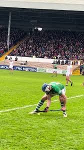 Image result for Shamrocks Hurling & Football Club